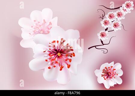 Rosa Kirschblüte Sakura Blumen im japanischen Stil Stock Vektor
