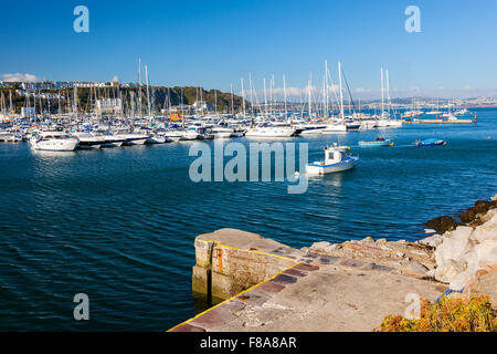 Sonniger Tag am Brixham Marina Torbay Devon England UK Europe Stockfoto