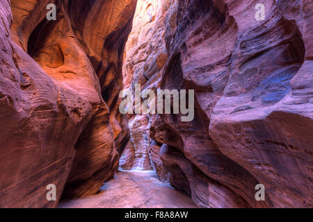 Hohe Felswände bilden Buckskin Gulch, die längste Slotcanyon der in Welt in Paria Canyon / Vermillion Cliffs WIlderness Stockfoto