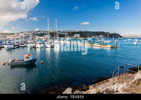 Sonniger Tag am Brixham Marina Torbay Devon England UK Europe Stockfoto