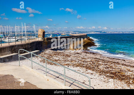 Sonniger Tag am Brixham Marina Torbay Devon England UK Europe Stockfoto