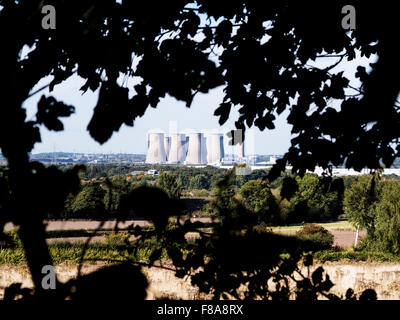 Fiddlers Ferry Kraftwerk in der Ferne durch den Dunst, angezeigt durch ein Ahornbaum und über Felder von Daresbury Tannen Stockfoto