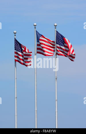 Amerikanische Flaggen Stockfoto