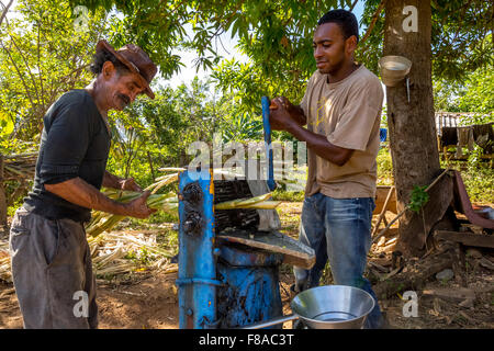 Zuckerrohr-Plantage mit Zuckerrohr Bauer gedrückt Zuckerrohrsaft mit einer blauen mechanische Zuckerrohr-Presse, Trinidad, Kuba, Stockfoto