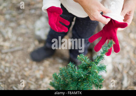 Fürsorgliche Mutter Kind in der Nähe von kleinen Weihnachtsbaum abstrakt rote Handschuhe anziehen. Stockfoto