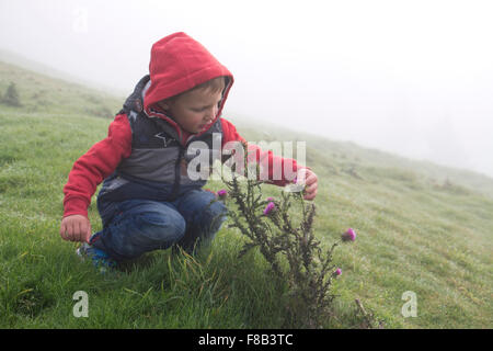 Ein junger Junge von drei Jahren berührt eine Distelpflanze auf einem Feld an einem nassen, kalten Oktobermorgen in North Yorkshire, England, Großbritannien Stockfoto