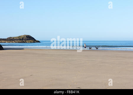 Ein Mann geht seinen Hunden auf Newborough Strand, Anglesey, Wales Stockfoto