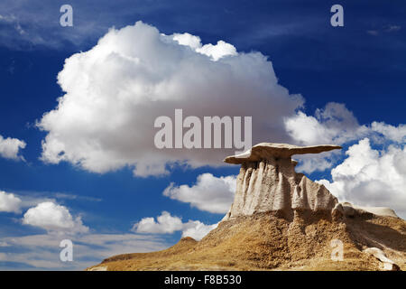 Die Flügel, bizarren Felsformationen in Bisti Badlands, New Mexico, USA Stockfoto