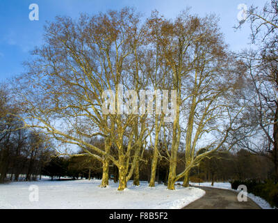 Österreich, Niederösterreich, Laxenburg Bei Wien, Schlosspark Stockfoto