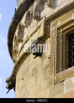 Österreich, Niederösterreich, Laxenburg Bei Wien, Franzensburg Im Park von Schloss Laxenburg Stockfoto