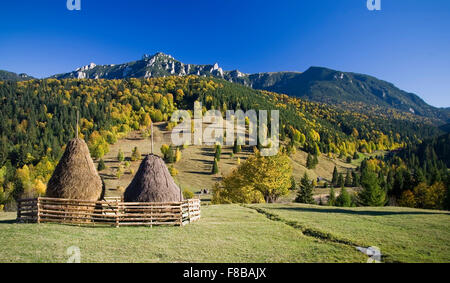 Rumänischen traditionellen Landschaft des Ceahlau-Berges in Herbst und Heu Stapeln auf Wiese, Hand arbeitete Stockfoto