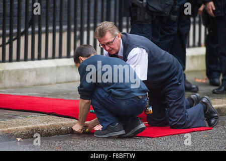 Der rote Teppich ist auf Nummer 10 Downing Street, London angelegt Stockfoto