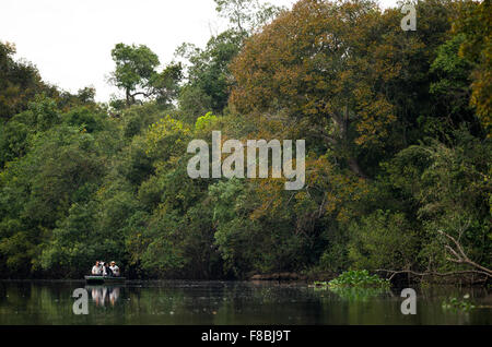 Touristen Wildlife Fotografieren von einem Boot im Pantanal Stockfoto