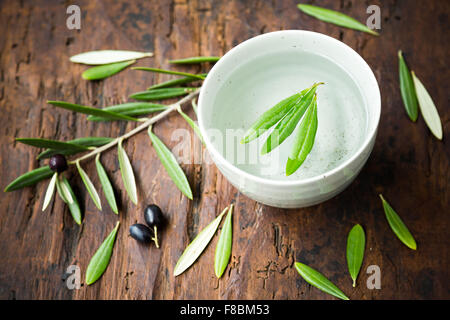 Olive Blätter Kräutertee. Stockfoto