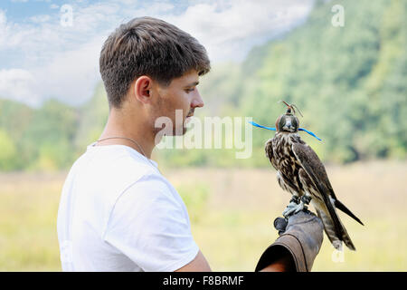 Mann mit einem Falcon Stockfoto