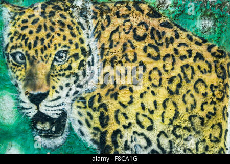 Urban Graffiti; Parintins, Amazona Zustand, Brasilien Stockfoto