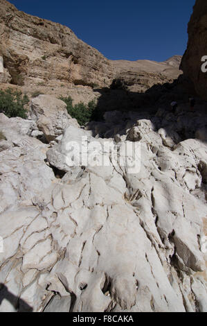 Wadi Bani Khalid, eine natürliche Bildung von Felsen und kristallklaren Pools, die es ein beliebtes Tagesziel Ausflug oder Urlaub machen. Stockfoto