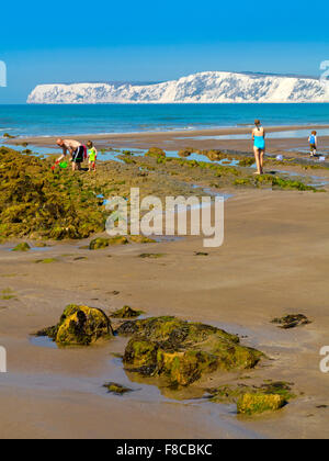 Familie am Strand von Compton Bucht auf der Isle Of Wight England UK betrachten nordwestlich in Richtung Kreidefelsen Tennyson Down Stockfoto