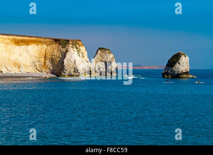 Freshwater Bay eine kleine Bucht mit Kreidefelsen und Rock Stapel an der Westküste von der Isle Of Wight im südlichen England UK Stockfoto