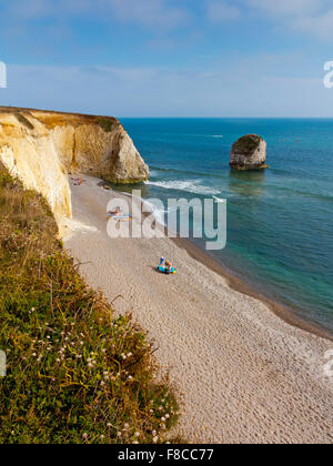 Freshwater Bay eine kleine Bucht mit Kreidefelsen und Rock Stapel an der Westküste von der Isle Of Wight im südlichen England UK Stockfoto