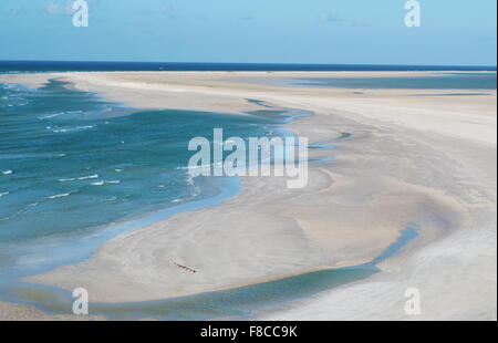 Das Naturschutzgebiet von Qalansia Strand, Golf von Aden, Arabisches Meer, Insel Sokotra, Jemen, Nahost, einzigartige Artenvielfalt Stockfoto