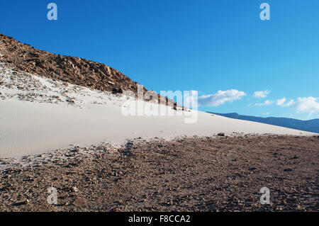 Das Naturschutzgebiet von Qalansia Strand, Golf von Aden, Arabisches Meer, Insel Sokotra, Jemen, Nahost, einzigartige Artenvielfalt Stockfoto