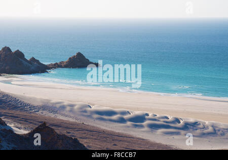 Das Naturschutzgebiet von Qalansia Strand, Golf von Aden, Arabisches Meer, Insel Sokotra, Jemen, Nahost, einzigartige Artenvielfalt Stockfoto