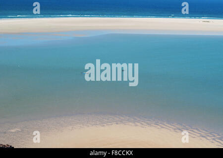 Das Naturschutzgebiet von Qalansia Strand, Golf von Aden, Arabisches Meer, Insel Sokotra, Jemen, Nahost, einzigartige Artenvielfalt Stockfoto