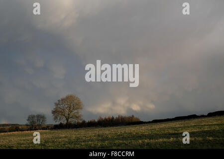 Starkholmes, Derbyshire, UK:08th Dezember 2015.After einen schönen Tag von Sonne und Wolken mit einer milden Temperatur Gewitterwolken über Teile des Peak District Rollen. Bildnachweis: Ian Francis/Alamy Live-Nachrichten Stockfoto