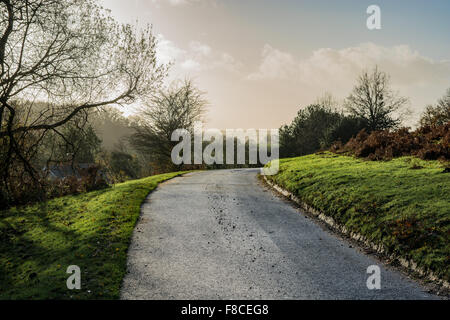 Engen, gewundenen Landstraße in den New Forest, Hampshire, gebadet im Winter die Sonne. Stockfoto