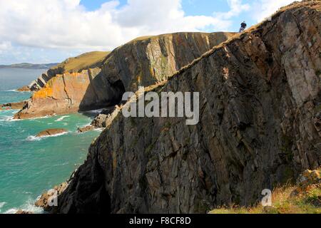 Ein Bergsteiger Umfragen die Szene am Baggy Punkt, in der Nähe von Croyde, North Devon, England, UK Stockfoto