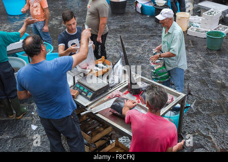 Catania Fischmarkt, Blick auf einen Mann kaufen Schwertfisch auf einem anstrengenden Morgen in Catania Fischmarkt (Mercato della Pescheria), Sizilien. Stockfoto