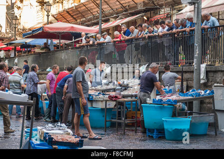 Catania Fischmarkt, Blick auf die sizilianische Leute an Fisch auf der Suche nach Verkauf auf einem anstrengenden Morgen in der Fischmarkt von Catania, Sizilien. Stockfoto