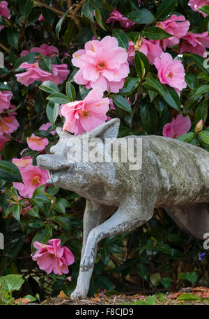 Glendurgan Garden, Falmouth, Cornwall, UK. Eine Statue eines Fuchses steht vor einer Kamelie am Eingang zum Garten Stockfoto