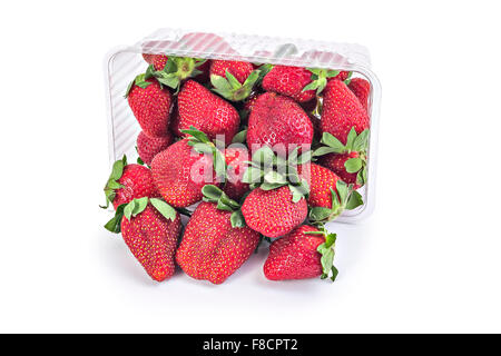 Box oder Körbchen und verschüttete frische rote Reife Bio-Erdbeeren isoliert auf weißem Hintergrund Stockfoto