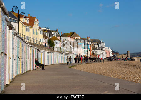 Lyme Regis; Strandhütten; Dorset; UK Stockfoto