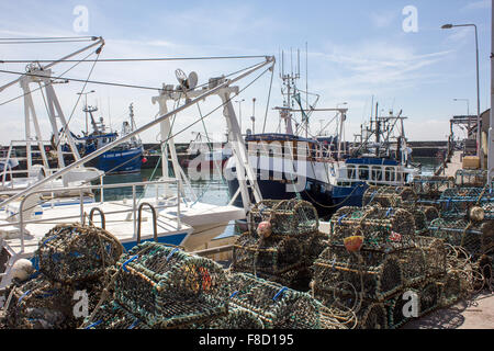 Angelboote/Fischerboote in Pittenweem Hafen Fife Schottland Stockfoto