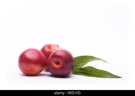 Nektarine auf weißem Hintergrund Stockfoto