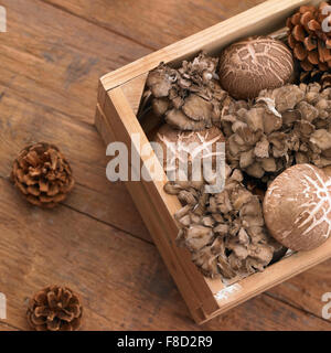 Hohen Winkel der verschiedenen Arten von Pilzen im Holz-Container mit der Dekoration der Tannenzapfen Stockfoto