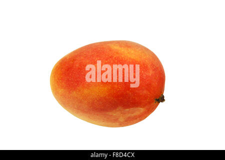 ein frisches orange Mango auf weißem Hintergrund Stockfoto