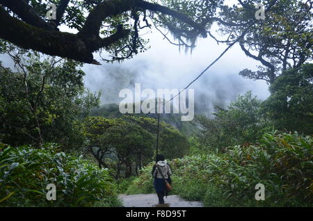 Ganz unten am Adams Peak(Sri Pada) in den frühen Morgenstunden nach einer Regennacht. Stockfoto