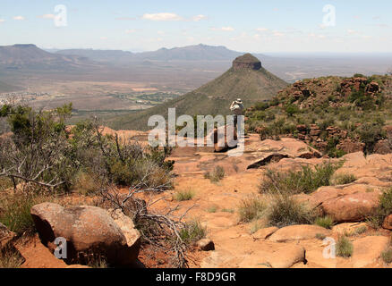 Reisenden im Camdeboo National Park in der großen Karoo in Südafrika Stockfoto