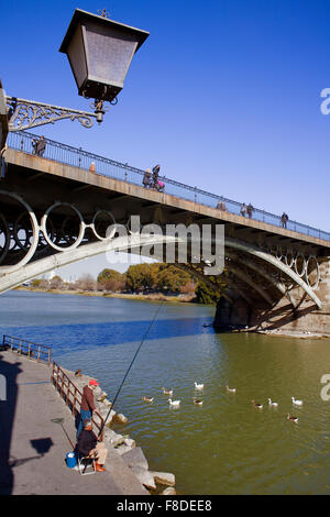 Isabel II Brücke oder Triana-Brücke. Des Flusses Guadalquivir. Sevilla, Andalusien, Spanien. Stockfoto