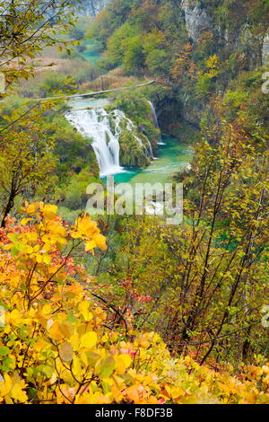 Nationalpark Plitvicer Seen, Kroatien, Europa Stockfoto