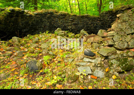 Rock River-Öfen, Hiawatha National Forest, Michigan Stockfoto