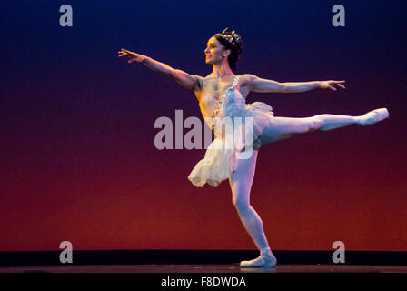 Marianela Nunez in Carlos Acosta eine klassische Auswahl: 8. Dezember 2015, London Coliseum, London, UK. Bildnachweis: Chantal Guevara/Alamy Live-Nachrichten Stockfoto