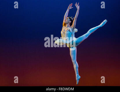 Marianela Nunez in Carlos Acosta eine klassische Auswahl: 8. Dezember 2015, London Coliseum, London, UK. Bildnachweis: Chantal Guevara/Alamy Live-Nachrichten Stockfoto