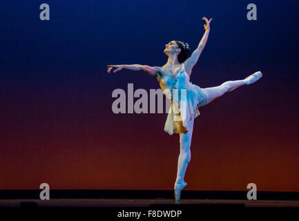 Marianela Nunez in Carlos Acosta eine klassische Auswahl: 8. Dezember 2015, London Coliseum, London, UK. Bildnachweis: Chantal Guevara/Alamy Live-Nachrichten Stockfoto