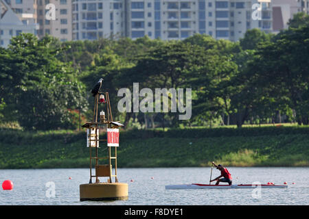 Singapur. 24. Juli 2015. Foto aufgenommen am 24. Juli 2015, zeigt einen White-bellied Seeadler ruht auf einer Boje in der Marina Bay Reservoir in Singapur. In Singapur, wilde Tiere zu finden in der Innenstadt oder Vorort trotz der rasanten wirtschaftlichen Entwicklung und Urbanisierung seit der Unabhängigkeit Singapurs im Jahre 1965. © Dahin Chih Wey/Xinhua/Alamy Live-Nachrichten Stockfoto