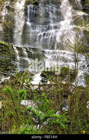 Ein Wanderer durchquert eine Holzbrücke im Amicalola Falls State Park in North Georgia Stockfoto